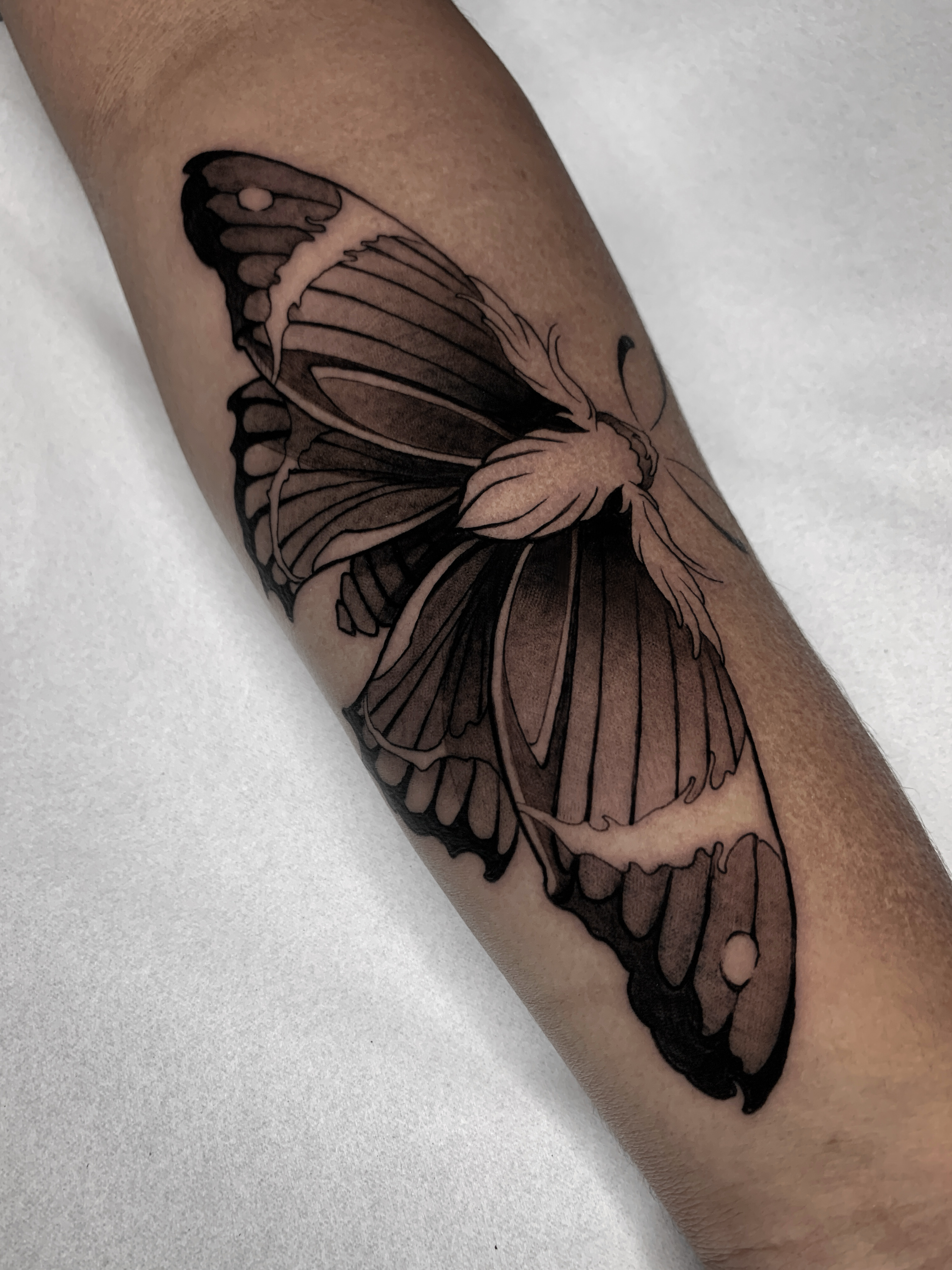 Custom — 12